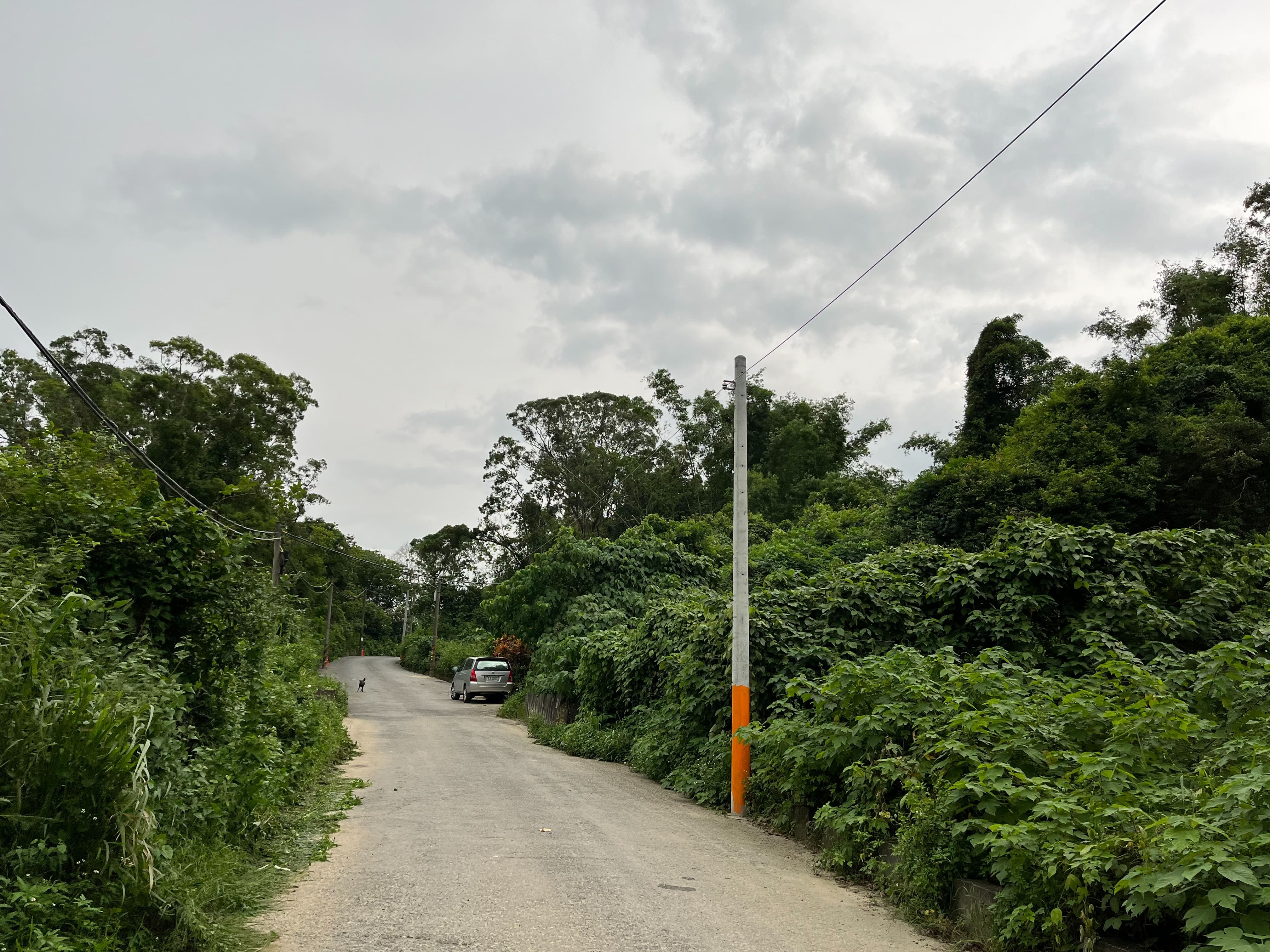 路燈及水泥桿遷移工程的第5張圖片